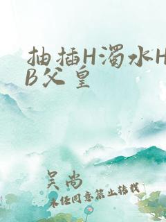 抽插H浊水H嫩B父皇