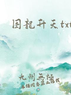 困龙升天txt