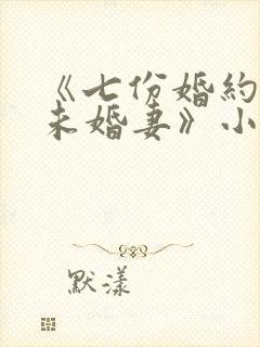 《七份婚约七个未婚妻》小说