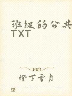 班级的公共玩具TXT