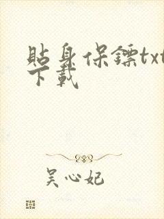 贴身保镖txt下载