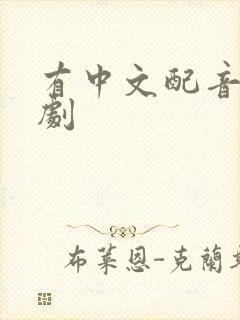 有中文配音的韩剧