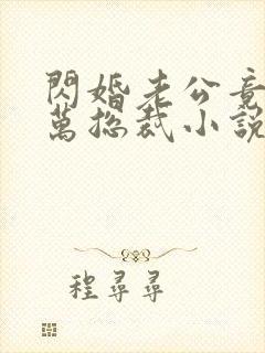 闪婚老公竟是亿万总裁小说小说