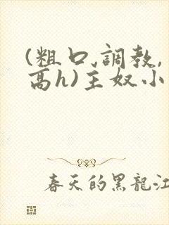 (粗口,调教,高h)主奴小说