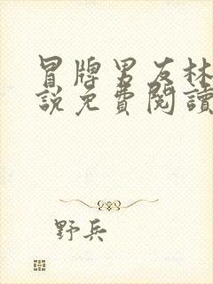 冒牌男友林天小说免费阅读