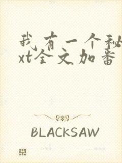 我有一个秘密txt全文加番外