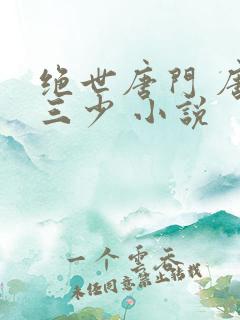 绝世唐门 唐家三少 小说