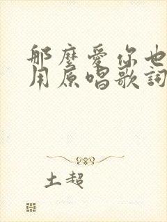 那么爱你也没有用原唱歌词