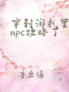 穿到游戏里面被npc攻略了