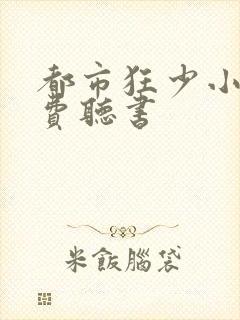 都市狂少小说免费听书