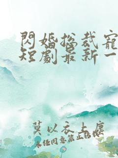 闪婚总裁宠上天短剧最新一集