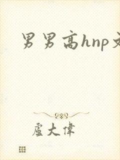 男男高hnp文