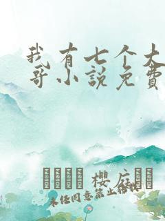我有七个大佬哥哥小说免费阅读无弹窗