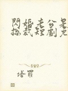 闪婚老公是亿万总裁短剧免费观看