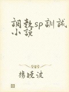 调教sp训诫类小说