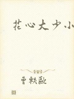 花心大少小说