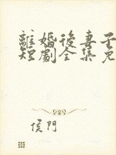 离婚后妻子后悔短剧全集免费观看