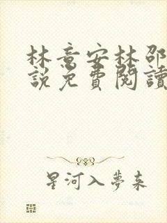 林意安林邵民小说免费阅读最新章节