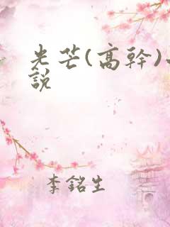 光芒(高干)小说