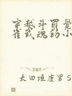 穿越斗罗觉醒朱雀武魂的小说