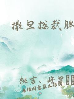 撒旦总裁胖前妻