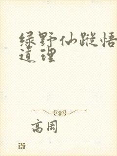 绿野仙踪悟出的道理