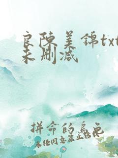 良陈美锦txt未删减