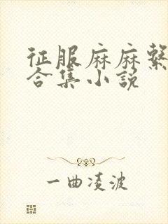 征服麻麻系列大合集小说