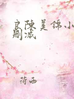 良陈美锦小说无删减