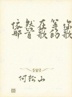 依然在等你这是哪首歌的歌词