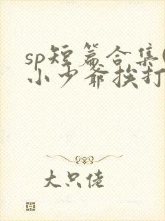 sp短篇合集(小少爷挨打日常)小说