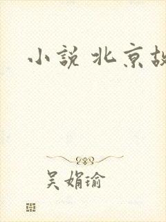 小说 北京故事