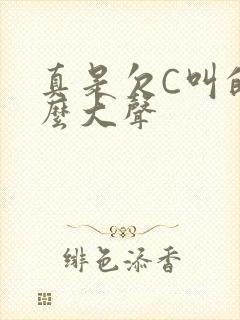 真是欠C叫的这么大声