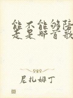 能不能够陪着你走是哪首歌的歌词