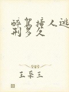 醉驾撞人逃逸判刑多久