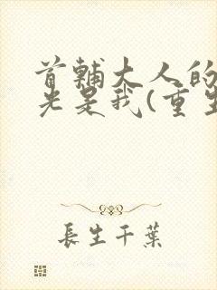 首辅大人的白月光是我(重生)