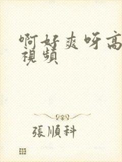 啊好爽呀高潮了视频