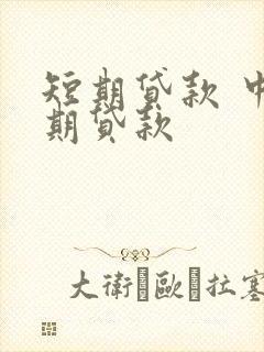 短期贷款 中长期贷款