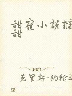 甜宠小说推荐巨甜
