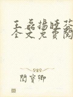 王磊扬晓芬小说全文免费阅读