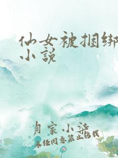 仙女被捆绑调教小说