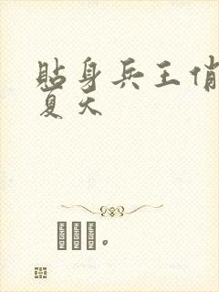 贴身兵王俏总裁夏天