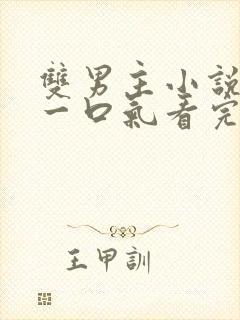 双男主小说系列一口气看完