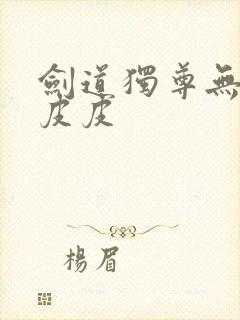 剑道独尊无弹窗皮皮