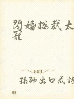 闪婚总裁太霸道宠