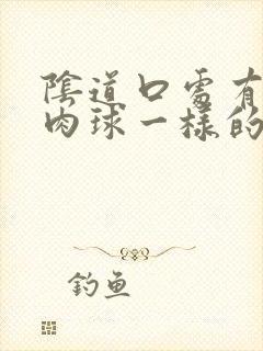 阴道口处有一个肉球一样的东西怎么回事