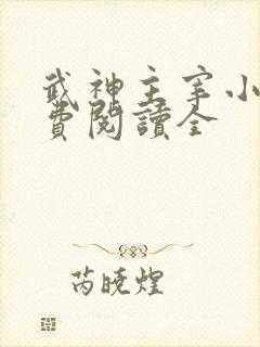 武神主宰小说免费阅读全