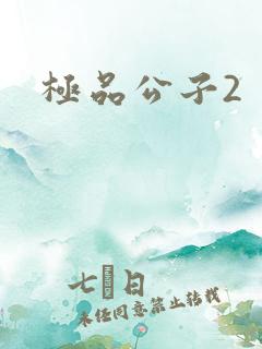 极品公子2