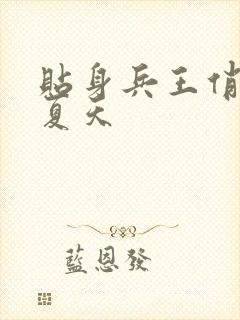 贴身兵王俏总裁夏天