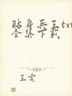 贴身兵王txt全集下载